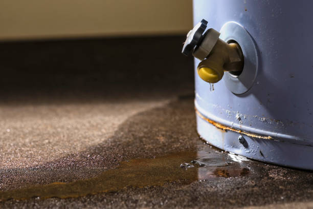 Best Water damage cleanup near me  in Vine Hill, CA