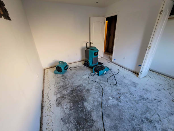 Best Water damage contractors near me  in Vine Hill, CA