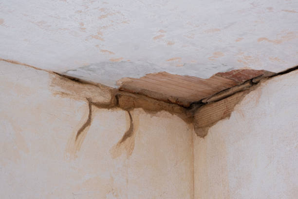 Best Water damage restoration near me  in Vine Hill, CA