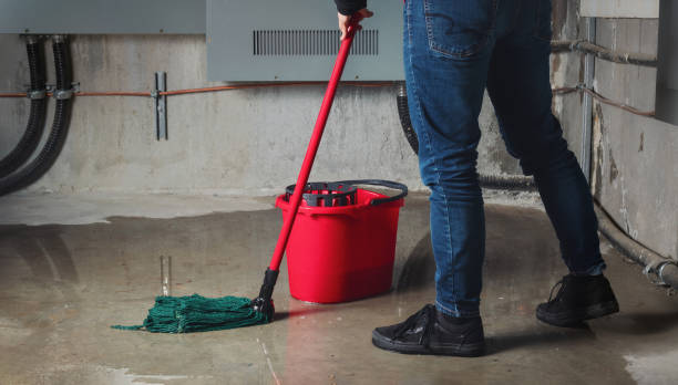 Best Basement water damage restoration  in Vine Hill, CA