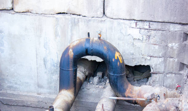 Best Professional water damage repair  in Vine Hill, CA