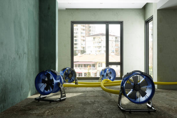 Best Water damage restoration insurance claims  in Vine Hill, CA