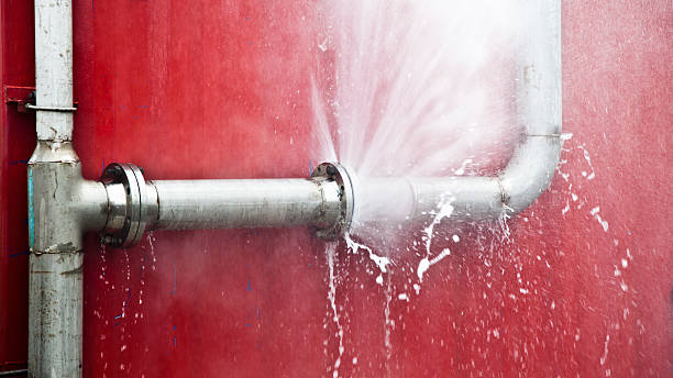 Best Local water damage restoration  in Vine Hill, CA