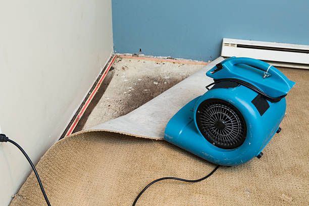 Best Fire Damage Restoration  in Vine Hill, CA